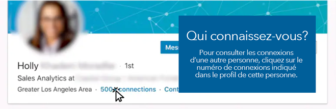 La capture d’écran de la page de profil de la personne sur LinkedIn met en évidence le lien hypertexte intitulé « Plus de 500 connexions ».