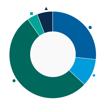 This donut chart shows the percentage of assets allocated to each category as a percentage of the whole.