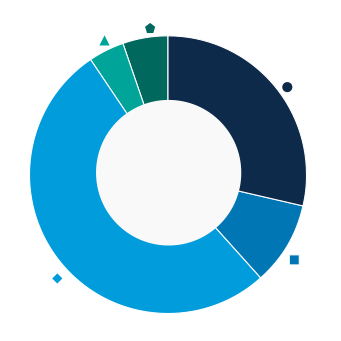This donut chart shows the percentage of assets allocated to each category as a percentage of the whole.