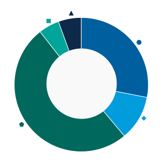 This donut chart shows the percentage of assets allocated to each category as a percentage of the whole.