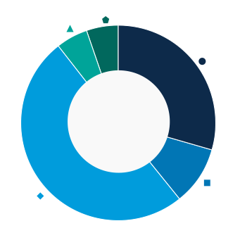 This donut chart shows the percentage of assets allocated to each category as a percentage of the whole.