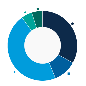 This donut chart shows the percentage of assets allocated to each category as a percentage of the whole.