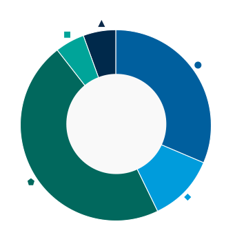 This donut chart shows the percentage of assets allocated to each category as a percentage of the whole.