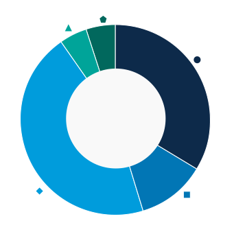 This donut chart shows the percentage of assets allocated to each category as a percentage of the whole.