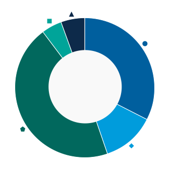 This donut chart shows the percentage of assets allocated to each category as a percentage of the whole.