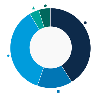 This donut chart shows the percentage of assets allocated to each category as a percentage of the whole.