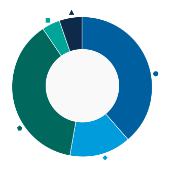 This donut chart shows the percentage of assets allocated to each category as a percentage of the whole.