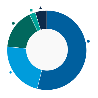 This donut chart shows the percentage of assets allocated to each category as a percentage of the whole.
