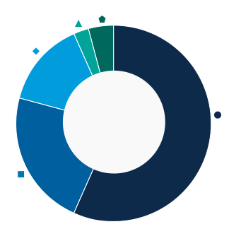 This donut chart shows the percentage of assets allocated to each category as a percentage of the whole.