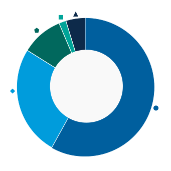 This donut chart shows the percentage of assets allocated to each category as a percentage of the whole.