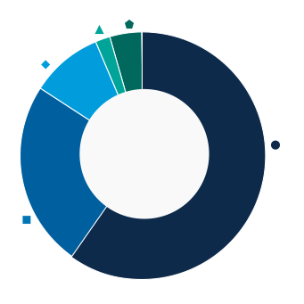 This donut chart shows the percentage of assets allocated to each category as a percentage of the whole.
