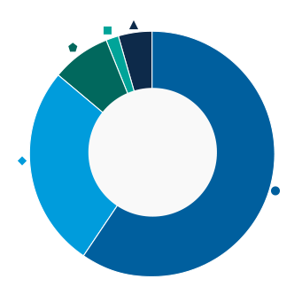 This donut chart shows the percentage of assets allocated to each category as a percentage of the whole.