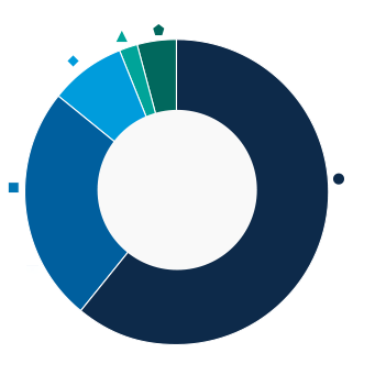 This donut chart shows the percentage of assets allocated to each category as a percentage of the whole.