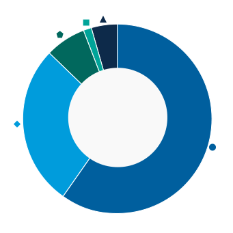 This donut chart shows the percentage of assets allocated to each category as a percentage of the whole.