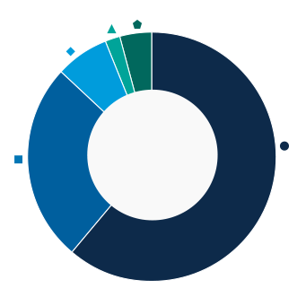 This donut chart shows the percentage of assets allocated to each category as a percentage of the whole.