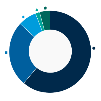 This donut chart shows the percentage of assets allocated to each category as a percentage of the whole.