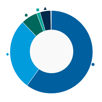 This donut chart shows the percentage of assets allocated to each category as a percentage of the whole.
