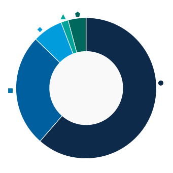 This donut chart shows the percentage of assets allocated to each category as a percentage of the whole.