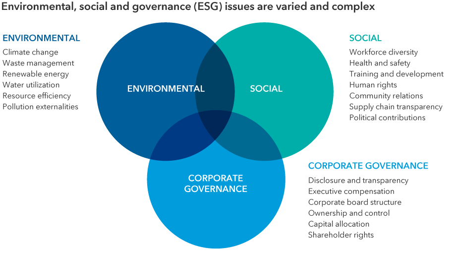 The chart shows a Venn diagram of the three main categories of ESG: environmental, social and corporate governance. Each category lists examples of factors commonly screened for in ESG investing. Under environmental, examples include climate change, waste management, renewable energy, water utilization, resource efficiency and pollution externalities. Under social, examples include workforce diversity, health and safety, training and development, human rights, community relations, supply chain transparency and political contributions. Under corporate governance, examples include disclosure and transparency, executive compensation, corporate board structure, ownership and control, capital allocation and shareholder rights.