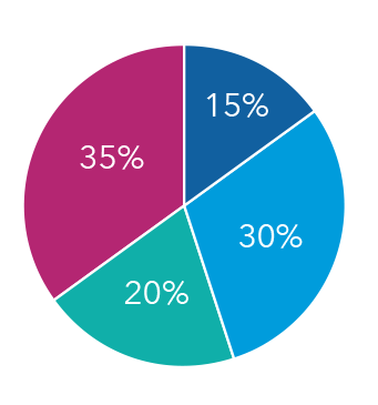 A pie chart reflecting 15 percent is allocated to growth funds, 30 percent is allocated to growth-and-income funds, 20 percent is allocated to Equity-Income and Balanced Funds, and 35 percent is allocated to bonds.