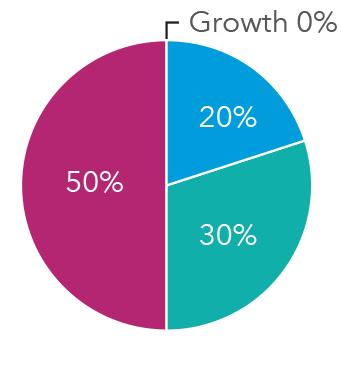 A pie chart reflecting 0 percent is allocated to growth funds, 20 percent is allocated to growth-and-income funds, 30 percent is allocated to Equity-Income and Balanced Funds, and 50 percent is allocated to bonds.