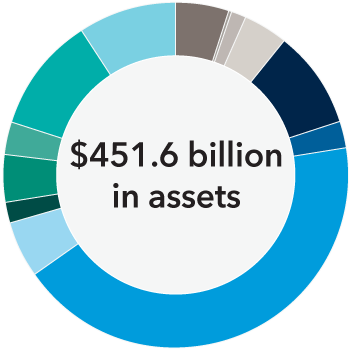 A central label indicating Capital Group′s $451.6 billion in assets, in fixed income, surrounded by an unlabeled segmented donut chart