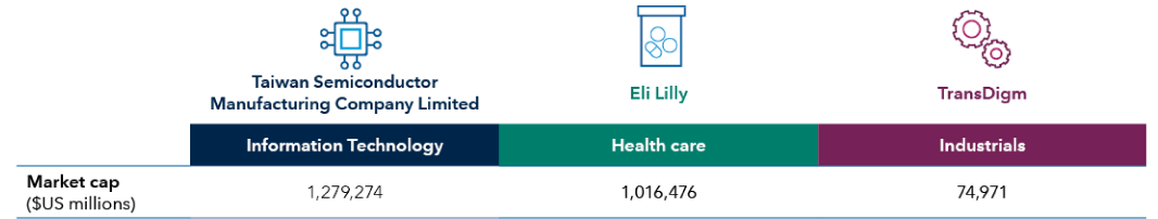 This graphic shows examples of top holdings by portfolio weight in Fundamental Investors. The three examples cited include information technology firm Taiwan Semiconductor Manufacturing Company Limited (market cap of $1,279,274 million), health care firm Eli Lilly (market cap of $1,016,476 million) and Industrials firm TransDigm (market cap of $74,971 million).