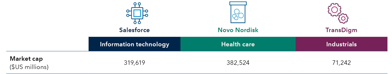 This graphic shows examples of top holdings by portfolio weight in Fundamental Investors. The three examples cited include information technology firm Salesforce (market cap of $319,619 million), health care firm Novo Nordisk (market cap of $382,524 million) and Industrials firm TransDigm (market cap of $71,242 million).