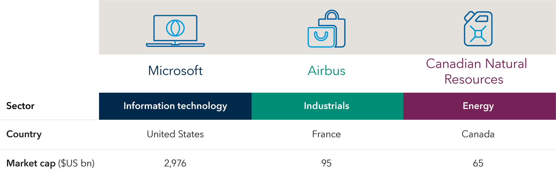 Companies shown are among the top 20 holdings by weight in Capital World Growth and Income Fund. Example 1: Microsoft — Sector: Information technology; Market cap: $2.9 trillion; Country headquarters: United States Example 2: Airbus — Sector: Industrials; Market cap: $95 billion; Country headquarters: France Example 3: Canadian Natural Resources — Sector: Energy; Market cap: $65 billion; Country headquarters: Canada
