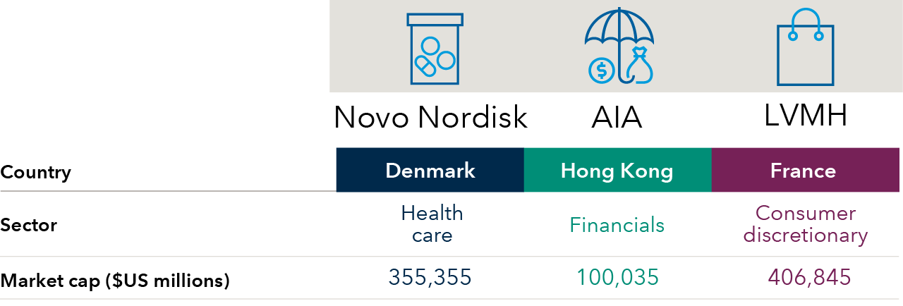  Identifying long-term leaders in a broad range of sectors and industries. Table shows examples of top holdings in the portfolios. Companies shown are among the top holdings by weight in EuroPacific Growth Fund and Capital Group International Growth SMA Composite representative account. Example 1: Novo Nordisk — Country: Denmark; Sector: Health care; Market cap ($US millions): 355,355 Example 2: AIA — Country: Hong Kong; Sector: Financials; Market cap ($US millions): 100,035 Example 3: LVMH — Country: France; Sector: Consumer discretionary; Market cap ($US millions): 406,845