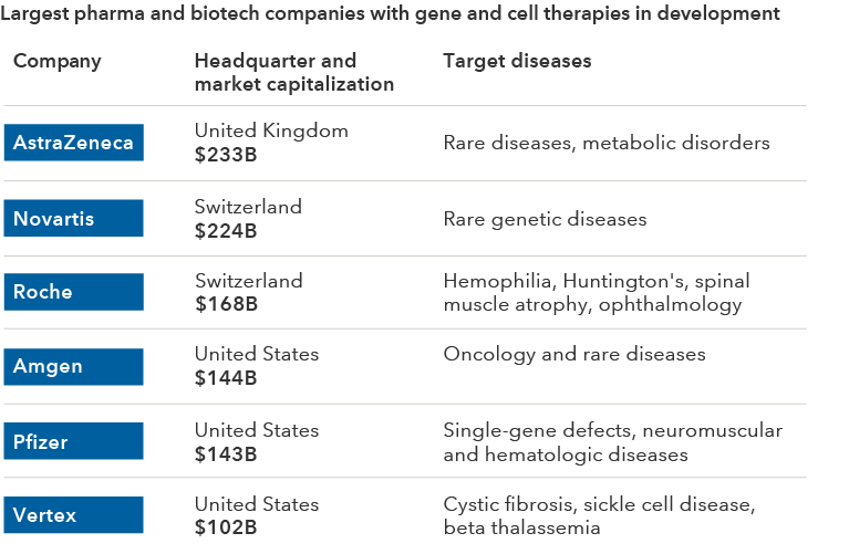 The image is a table listing pharmaceutical companies working on cell and gene therapies and the various diseases they are targeting. AstraZeneca, which is based in the United Kingdom and has a market capitalization of U.S. $233 billion, has target indications including rare diseases and metabolic disorders. Novartis, which is based in Switzerland and has a market capitalization of U.S. $233 billion, has target indications including rare genetic diseases. Roche, which is based in Switzerland and has a market capitalization of U.S. 168 billion, has target indications including hemophilia, Huntington’s, spinal muscular atrophy and ophthalmology. Amgen, which is based in the United States and has a market capitalization of U.S. $144 billion, has target indications including oncology and rare diseases. Pfizer, which is based in the United States and has a market capitalization of U.S. $143 billion, has target indications including single-gene defects, neuromuscular and hematologic diseases. Vertex, which is based in the United States and has a market capitalization of U.S. $102 billion, has target indications including cystic fibrosis, sickle cell disease and blood disorder beta thalassemia.