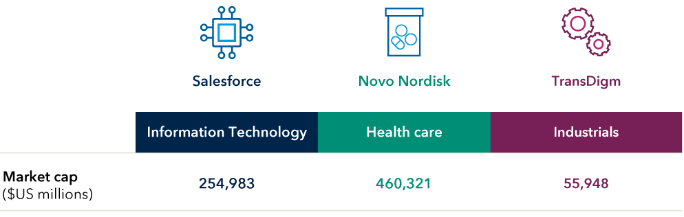 This graphic shows examples of top holdings by portfolio weight in Fundamental Investors. The three examples cited include information technology firm Salesforce (market cap of $254,983 million), healthcare firm Novo Nordisk (market cap of $460,321 million) and Industrials firm TransDigm (market cap of $55,948 million).