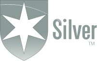 Morningstar Silver Medalist Rating