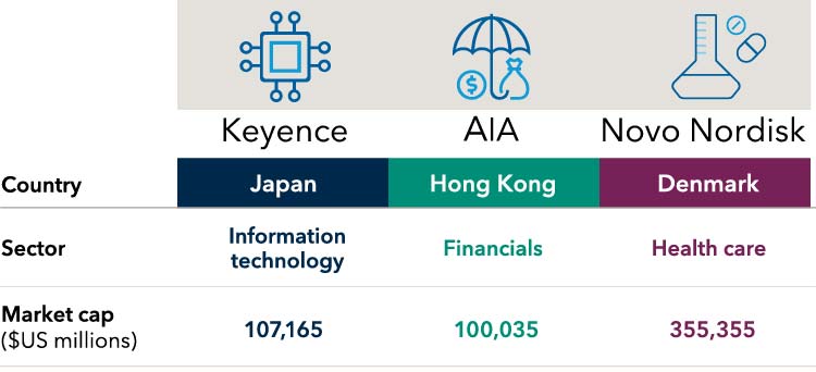 This graphic shows three examples of top holdings in the portfolio as part of identifying long-term leaders in a broad range of sectors and industries. Keyence is in Japan, in the information technology sector. Its market cap is $107,165 million. AIA is in Hong Kong, in the financials sector. Its market cap is $100,035 million. Novo Nordisk is in Denmark, in the health care sector. Its market cap is $355,355 million.