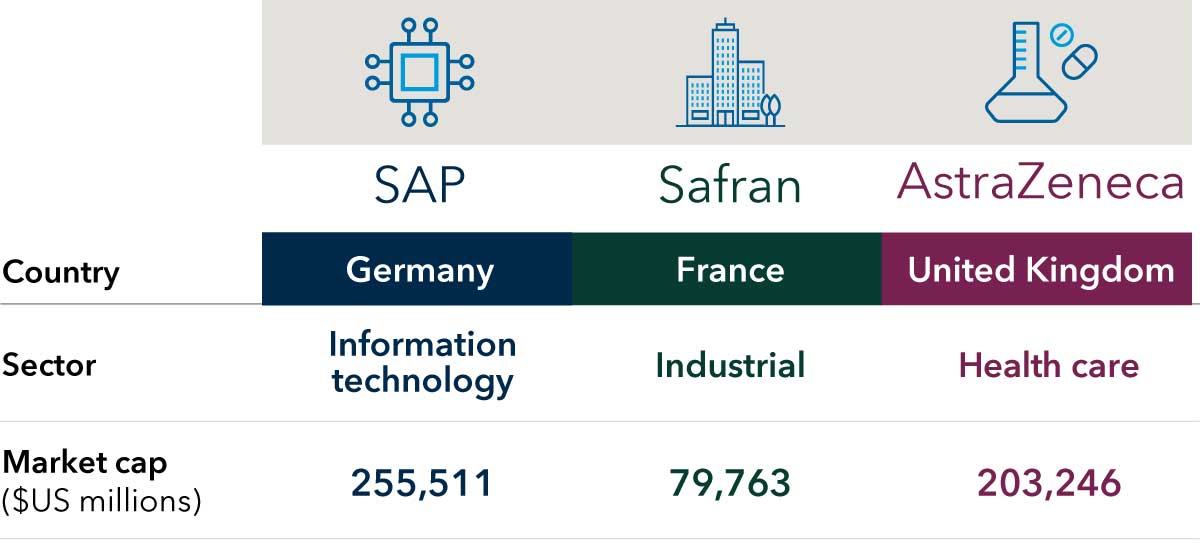 This graphic shows three examples of top holdings in the portfolio as part of identifying long-term leaders in a broad range of sectors and industries. Keyence is in Japan, in the information technology sector. Its market cap is $94.78 billion. AIA is in Hong Kong, in the financials sector. Its market cap is $132.729 billion. Novo Nordisk is in Denmark, in the health care sector. Its market cap is $234.581 billion.