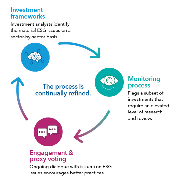 A circular graphic shows how three components are interrelated and repeatedly reviewed. With investment frameworks, analysts identify important ESG issues. The multilayered monitoring process digs deeper to provide insight. Engagement and proxy voting is integral to the process.