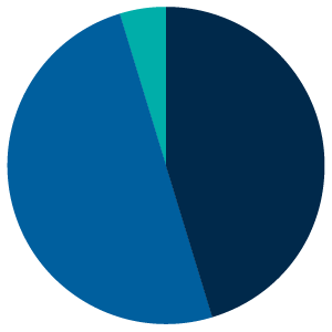 Growth and income pie chart