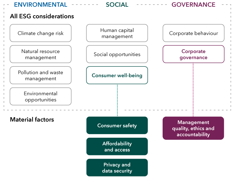Within the health care services sector, Capital Group analysts have identified the material factors they believe have the greatest impact on the long-term success of a company. Across environmental, social and governance factors, the material factors identified included Social factors of Consumer Well-being covering consumer safety, affordability and access, privacy and data security. Within ‘Governance’ factors the analysts identified Corporate Governance including management quality, ethics and accountability. Other ESG considerations that were not considered material factors include Environmental considerations: climate change risk, natural resource management, pollution and waste management and environmental opportunities. Social considerations: human capital management and social opportunities. Governance considerations: corporate behavior. 