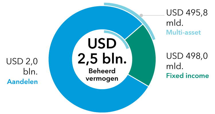 Cirkeldiagram eigen vermogen