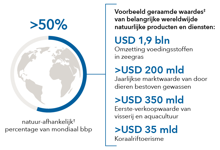 Afbeelding waarin wordt aangegeven dat het aandeel van de natuur in het wereldwijde BBP meer dan 50 procent bedraagt. Ook worden voorbeelden gegeven van geschatte waarden in USD van belangrijke natuurlijke producten en diensten wereldwijd. Zeegras en recycling van nutriënten: 1,9 biljoen dollar. Marktwaarde op jaarbasis van door dieren bestoven landbouwgewassen: ruim 200 miljard dollar. Verkoopwaarde van visserij en aquacultuur: ruim 350 miljard dollar. Koraalriftoerisme: meer dan 35 miljard dollar.
